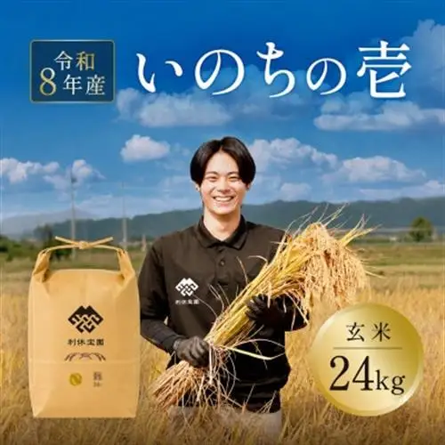 ≪新米予約≫ いのちの壱(玄米)24kg 令和8年産米 山形県産【1768702】