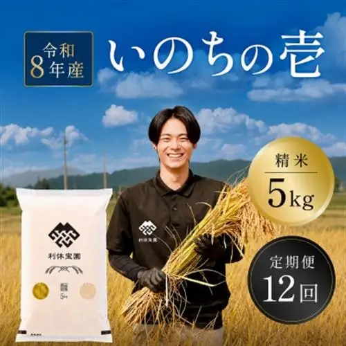 【発送月固定定期便】いのちの壱(精米) 5kg  山形県産全12回【4091178】