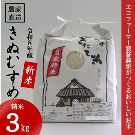 【令和8年産 新米】 きぬむすめ 精米 3kg(令和8年10月～順次発送)【1769846】