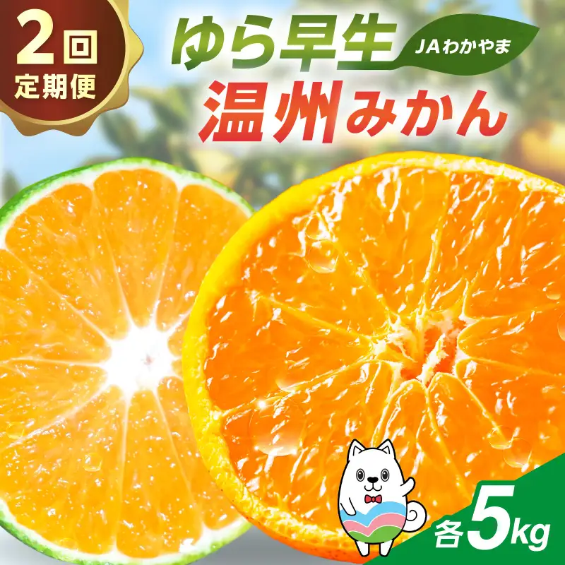 【2回定期便】JAわかやま 紀州のゆら早生･温州みかん【8077】