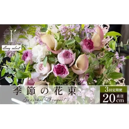 季節の花束 3回定期便 《illony select》直径約20cm