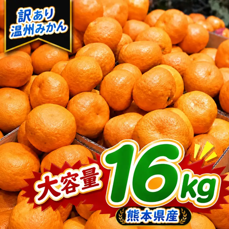 【訳あり】熊本県産 温州みかん 約16kg 味采市場