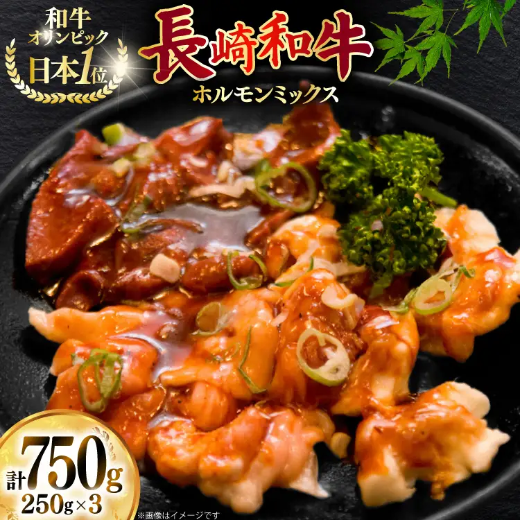 牛肉 和牛 長崎和牛ホルモンミックス 750g (250g×3)