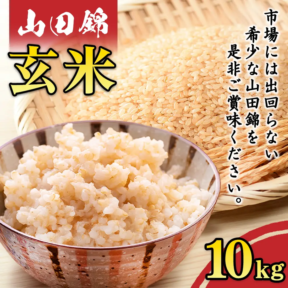 米 山田錦 玄米 10kg 産地直送