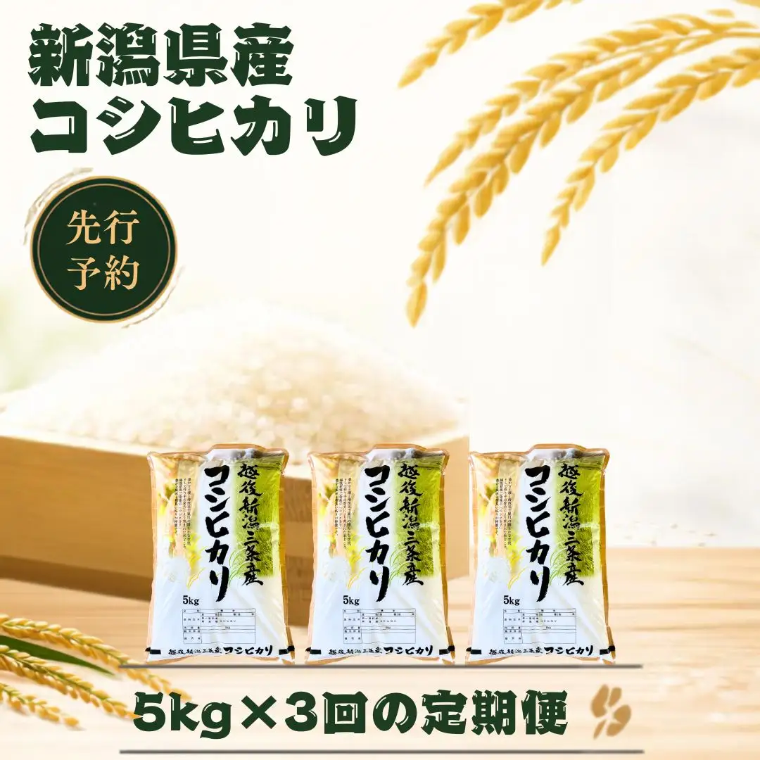 先行予約 定期便 コシヒカリ5kg × 3回 新潟県産コシヒカリ 令和8年 精米
