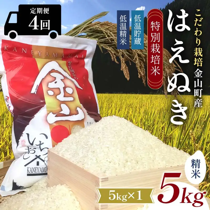 【令和7年産】定期4回 金山町産 特別栽培米 はえぬき 精米 5kg×4回 合計20kg 米 お米 ご飯 ブランド米 定期便 低温貯蔵 低温精米 F4B-0837