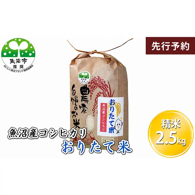 【先行予約 令和8年産】 魚沼産コシヒカリ おりたて米 （精米）2.5kg お米