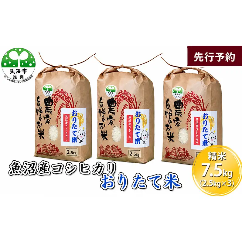 【先行予約 令和8年産】 魚沼産コシヒカリ おりたて米 （精米）7.5kg（2.5kg×3） お米