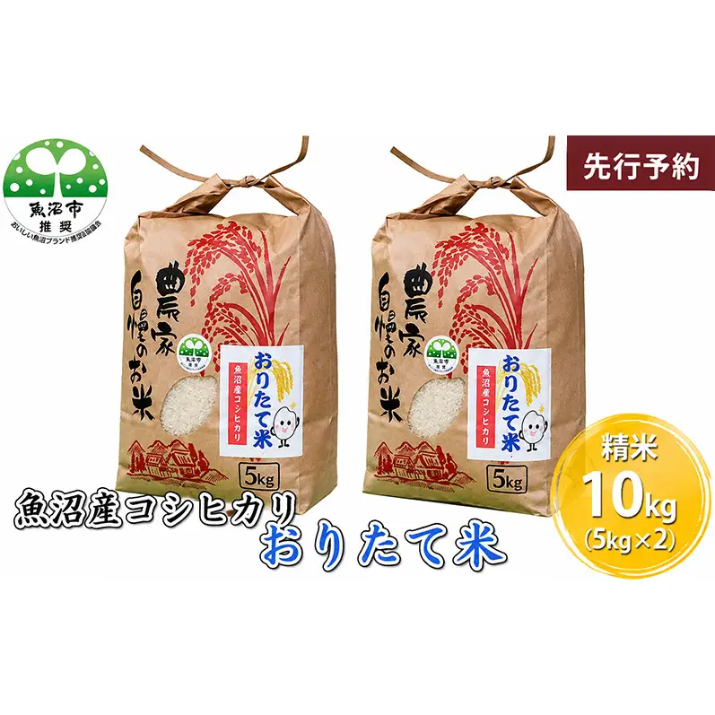 【先行予約 令和8年産】 魚沼産コシヒカリ おりたて米 （精米）10kg（5kg×2） お米