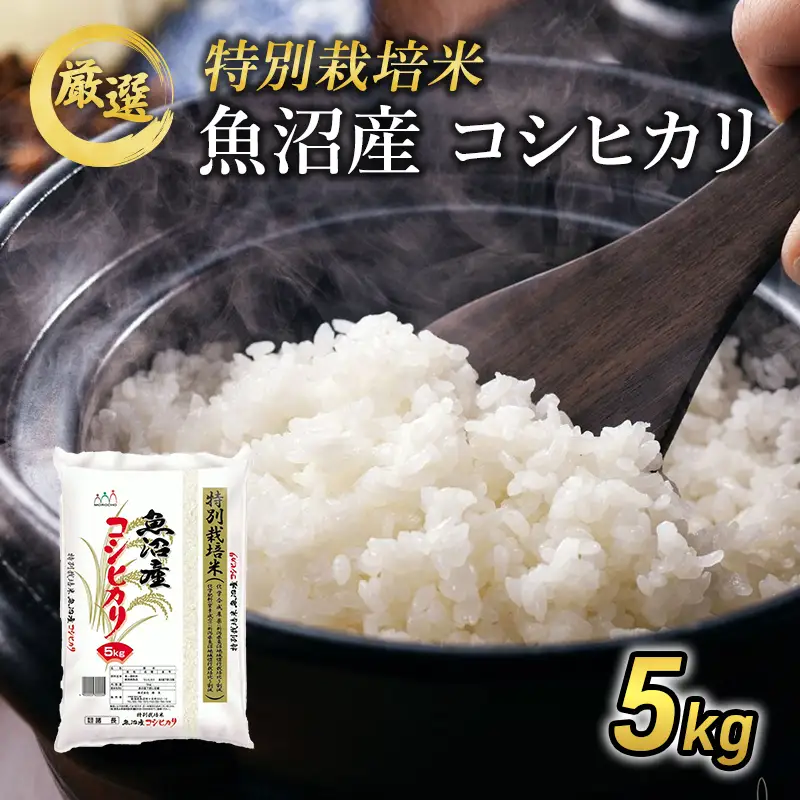 【先行予約】令和8年産 【特別栽培米】 お米アドバイザー厳選 魚沼産コシヒカリ (精米) 5kg （ 米 精米 白米 お米 こめ コメ こしひかり コシヒカリ 魚沼 ） 