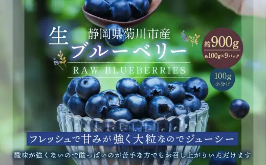 生ブルーベリー 計約900g（約100g×9パック）【2027年4月下旬-6月上旬発送予定】 ｜ブルーベリー 果物 フルーツ 静岡県 菊川市