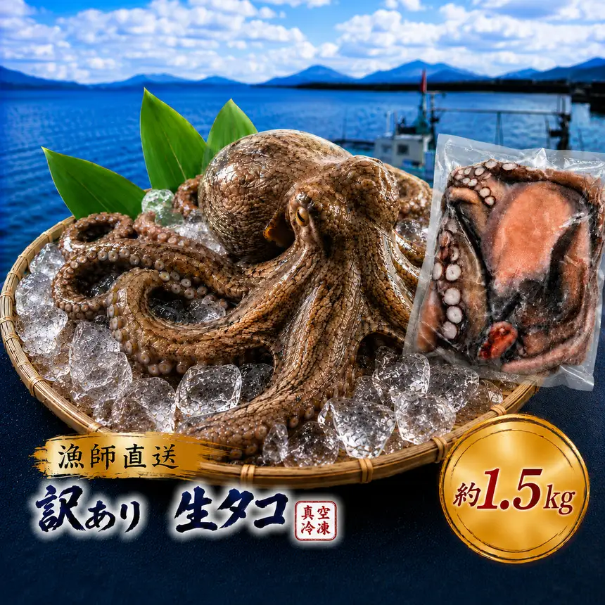 訳あり 瀬戸内 海の幸 セット 真空 生タコ 約 1kg 