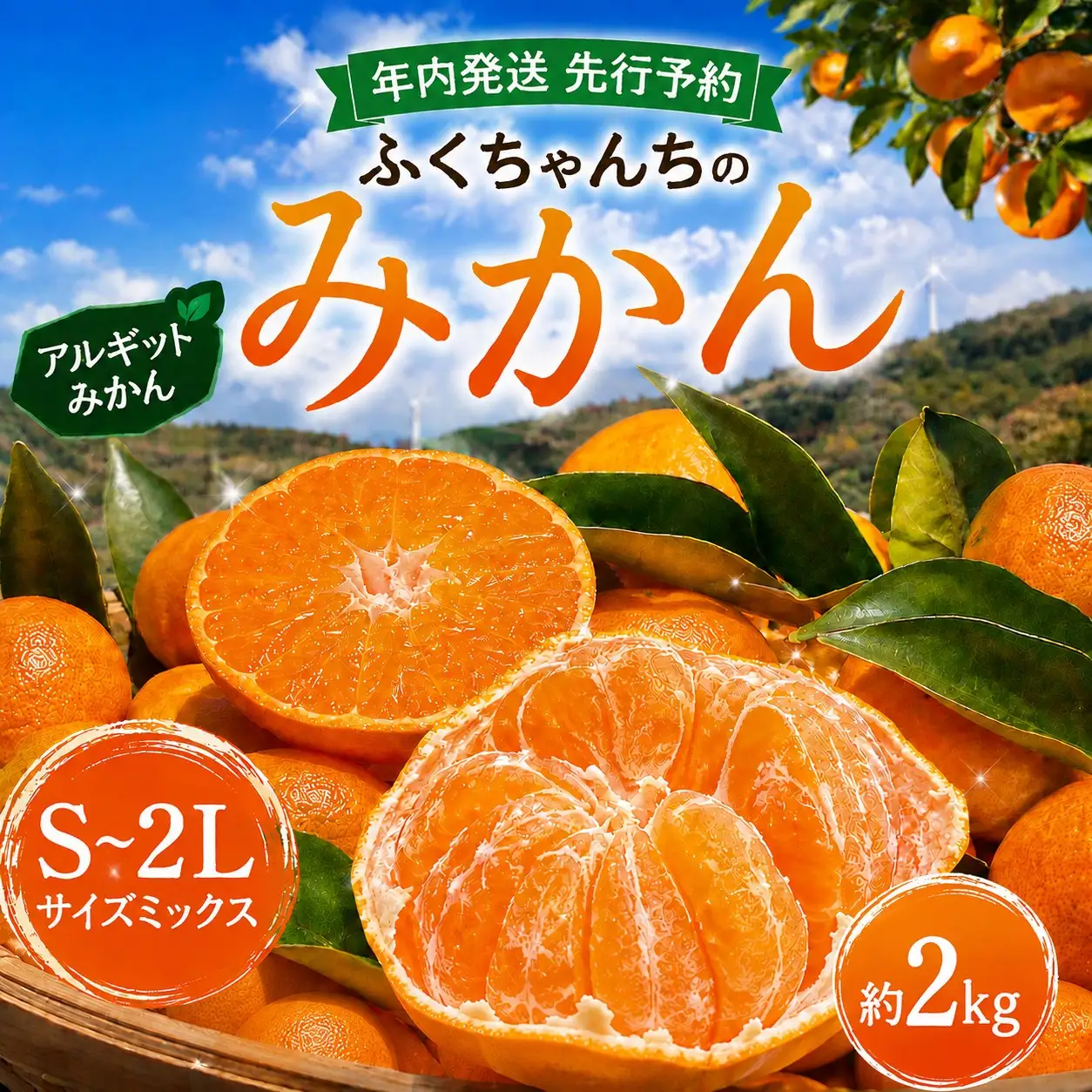  先行予約 年内発送 ふくちゃんちのみかん サイズミックス 約2kg  令和8年12月初旬～順次発送