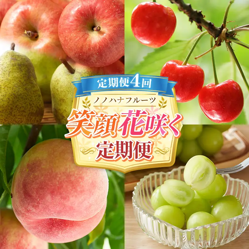 【定期便4回】ノノハナフルーツ 笑顔花咲く定期便 FY26-233