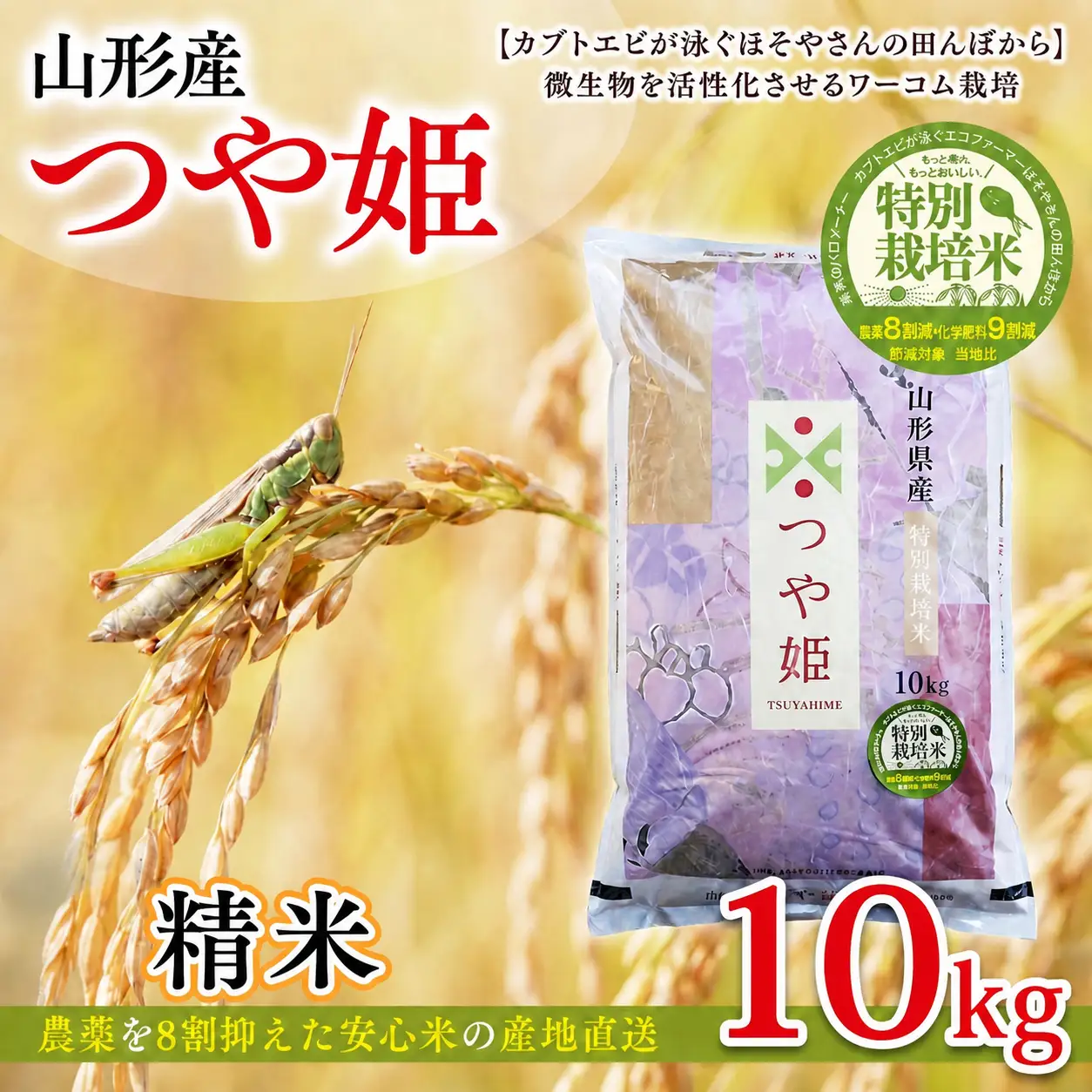 令和7年度産 山形産 「つや姫」10kg (精米) 特別栽培米 8割減農薬・9割減化学肥料（当地比）【カブトエビが泳ぐほそやさんの田んぼから】微生物を活性化させるワーコム栽培 FY26-269