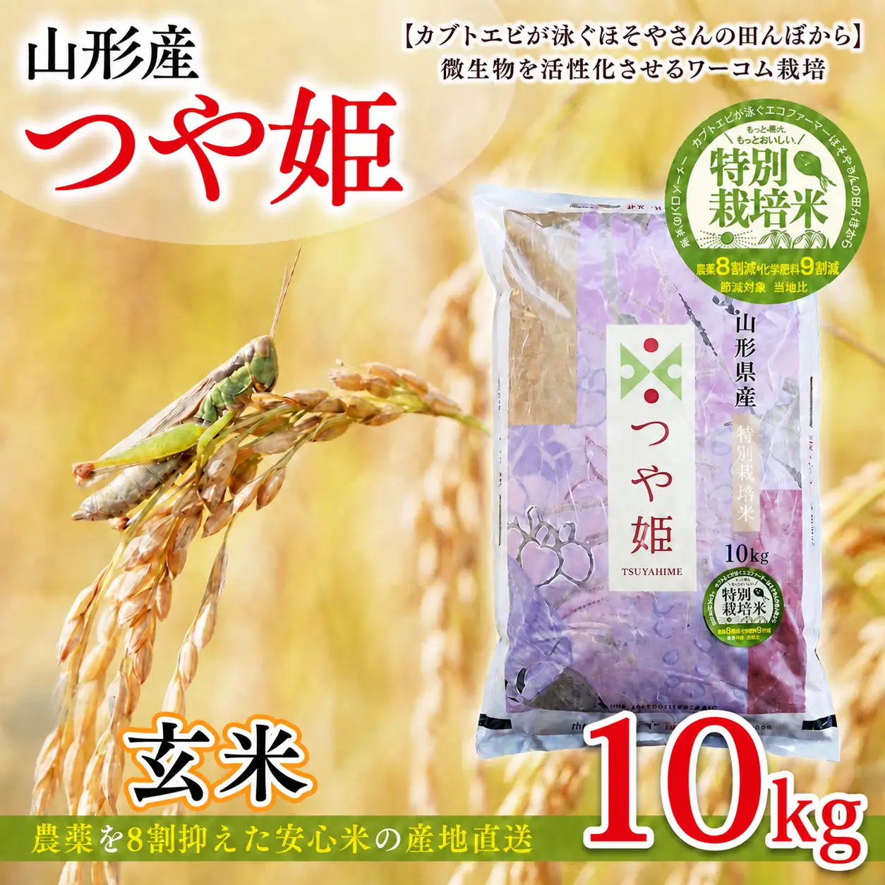 令和7年度産 山形産 つや姫 10kg