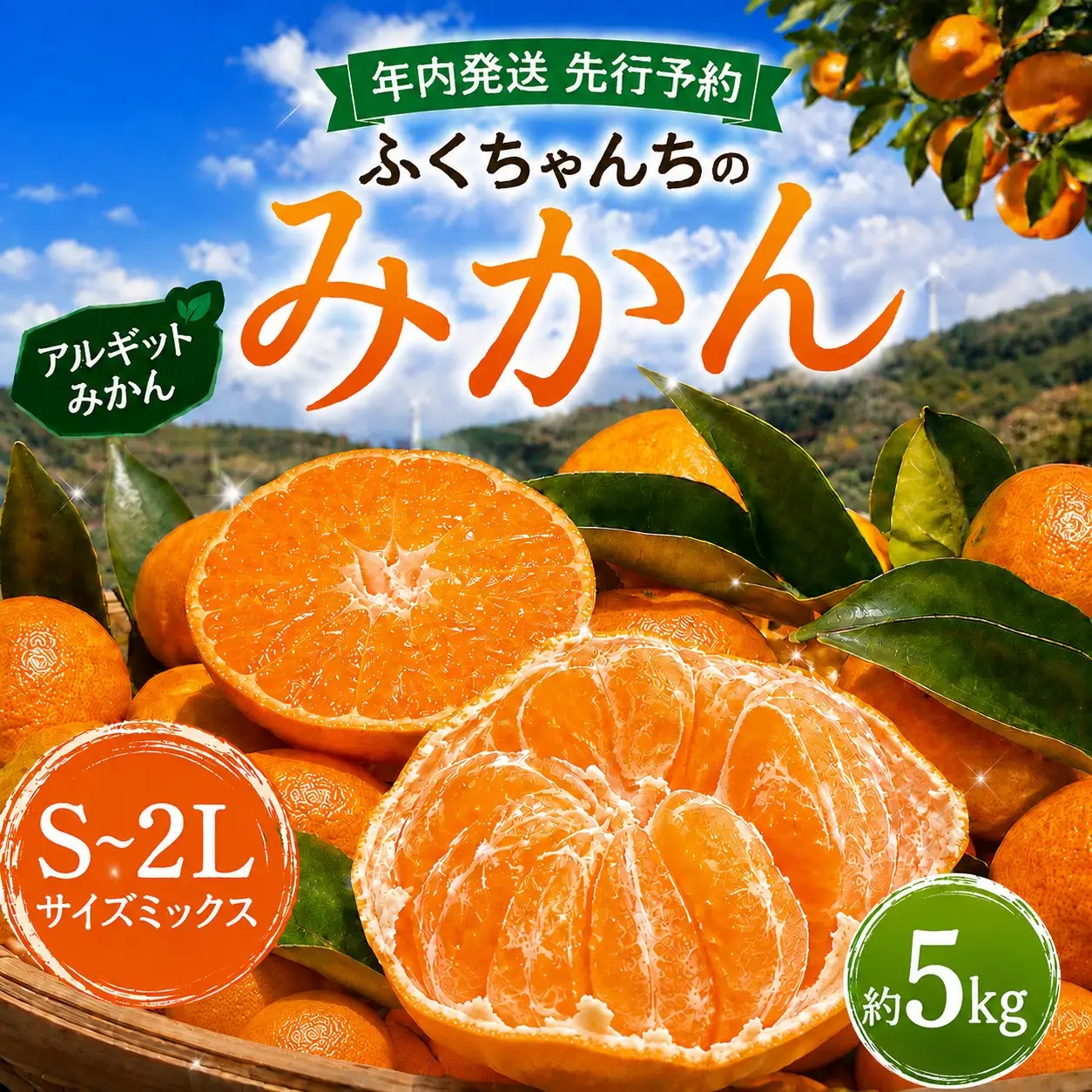  先行予約 年内発送 ふくちゃんちのみかん サイズミックス 約5kg  令和8年12月初旬～順次発送