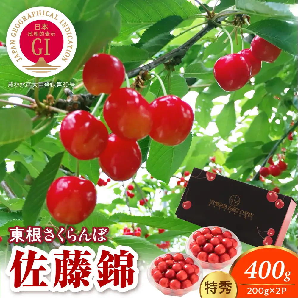 2027年産  GI東根 さくらんぼ 佐藤錦 200g×2P 特秀 さくらんぼ