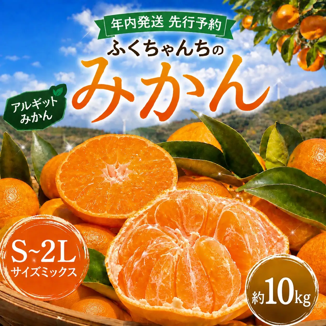  先行予約 年内発送 ふくちゃんちのみかん サイズミックス 約10kg  令和8年12月初旬～順次発送