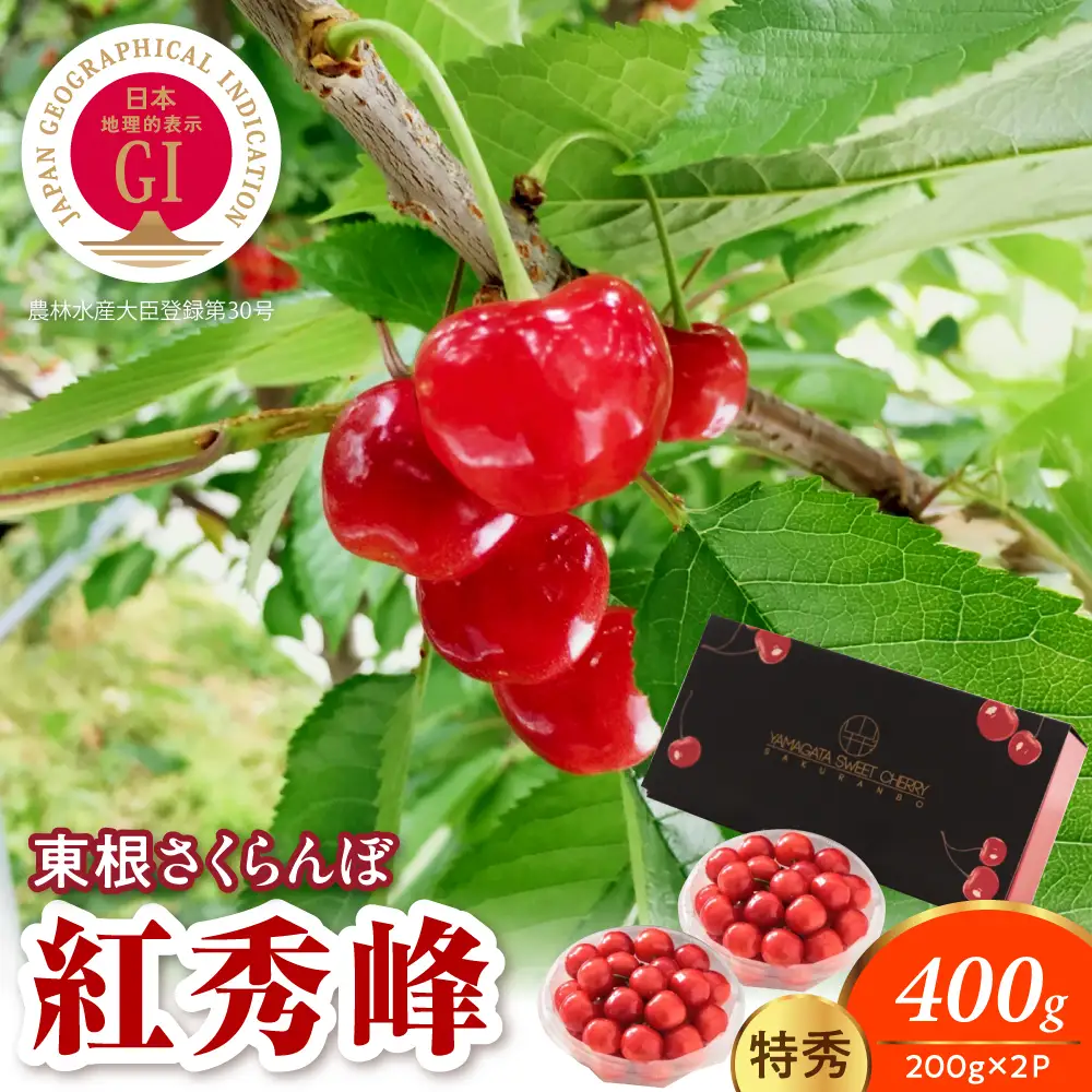 2027年産 GI東根 さくらんぼ  紅秀峰 200g×2P 特秀 さくらんぼ