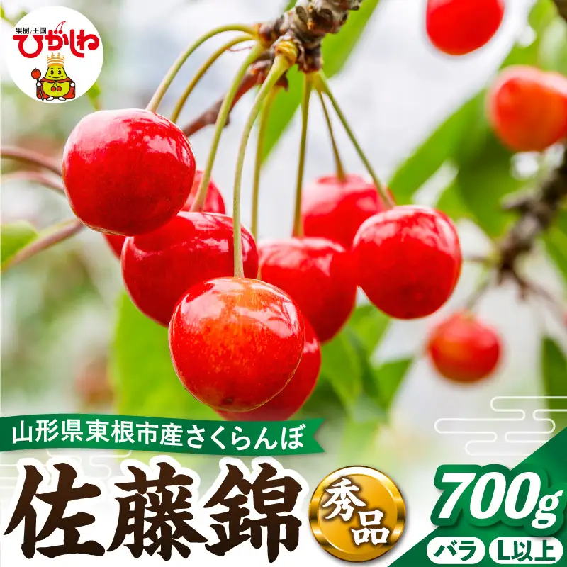 2027年産 さくらんぼ 佐藤錦 700g バラ 秀品 さくらんぼ