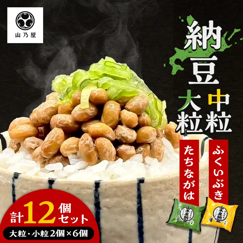 山乃屋の山木屋 大粒 中粒 納豆 各種6個 納豆 大豆 健康 発酵食品 ギフト おすすめ 川俣町 福島県   FAF-0292