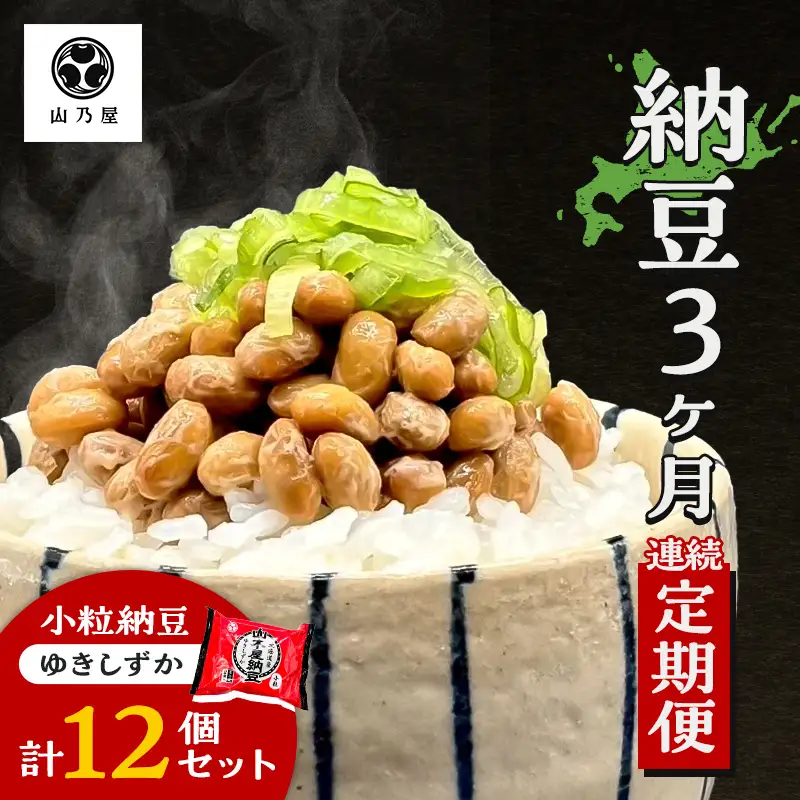 〈3か月定期便〉山乃屋の山木屋 小粒 納豆 ゆきしずか 12個 納豆 大豆 健康 発酵食品 ギフト おすすめ 川俣町 福島県  FAF-0294