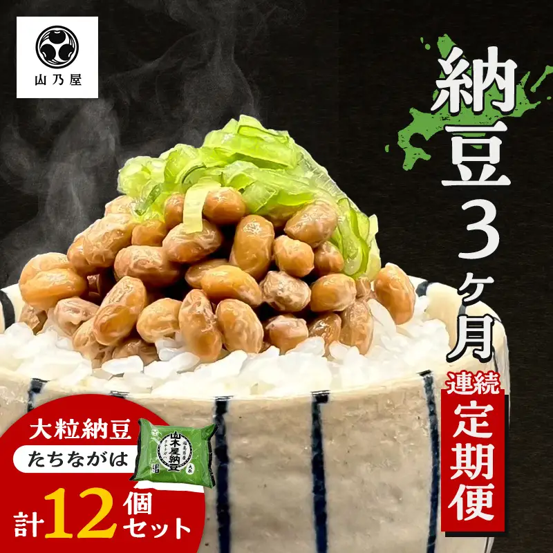〈3か月定期便〉山乃屋の山木屋 大粒 納豆 たちながは 12個 納豆 大豆 健康 発酵食品 ギフト おすすめ 川俣町 福島県  FAF-0296