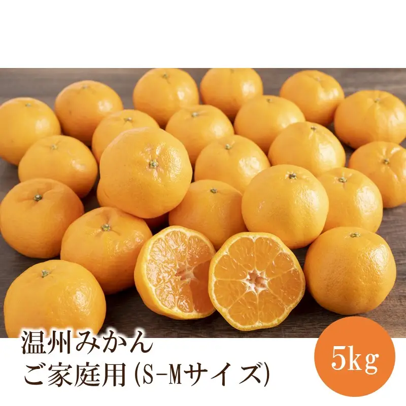 温州みかん ご家庭用 5kg S-Mサイズ【1346】