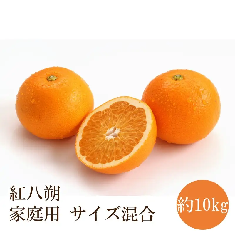 紅八朔 家庭用　サイズ混合 約10kg【1350】