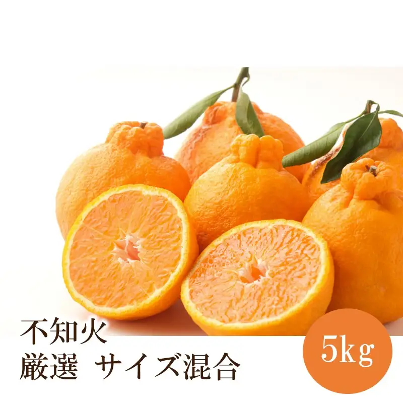 不知火厳選(サイズ混合) 5kg【1351】