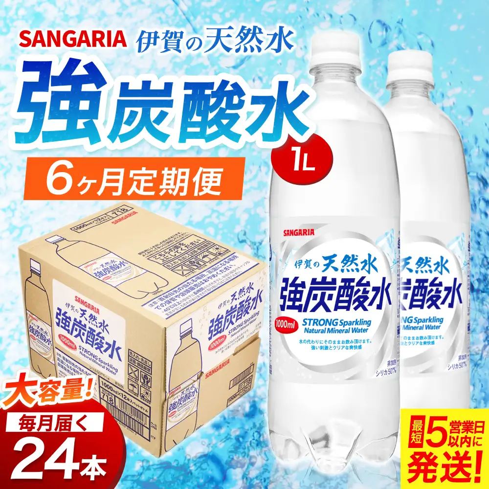 【6ヶ月定期便】サンガリア　伊賀の天然水　強炭酸水　1ケース（500mL×24本）【igge-tkb0003】