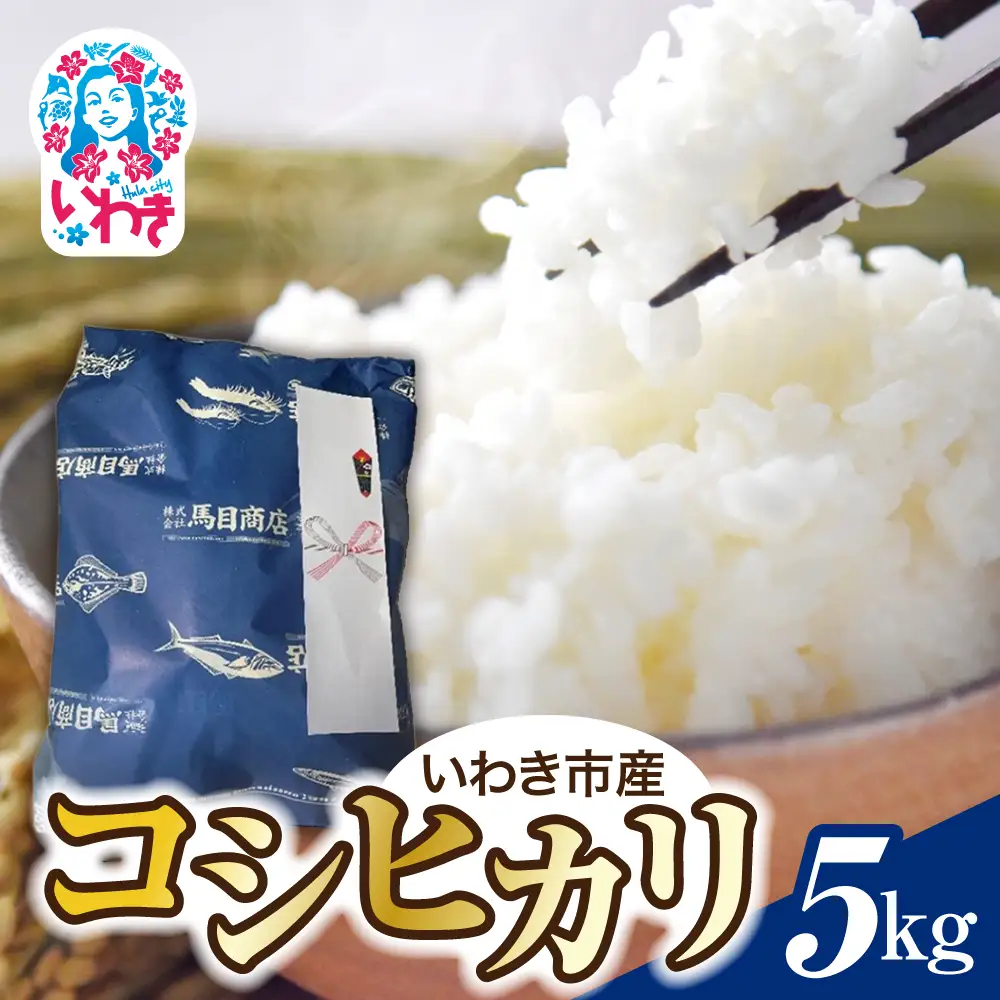 【令和8年産】コシヒカリ 5kg 順次発送 精米 5kg x 1袋 白米