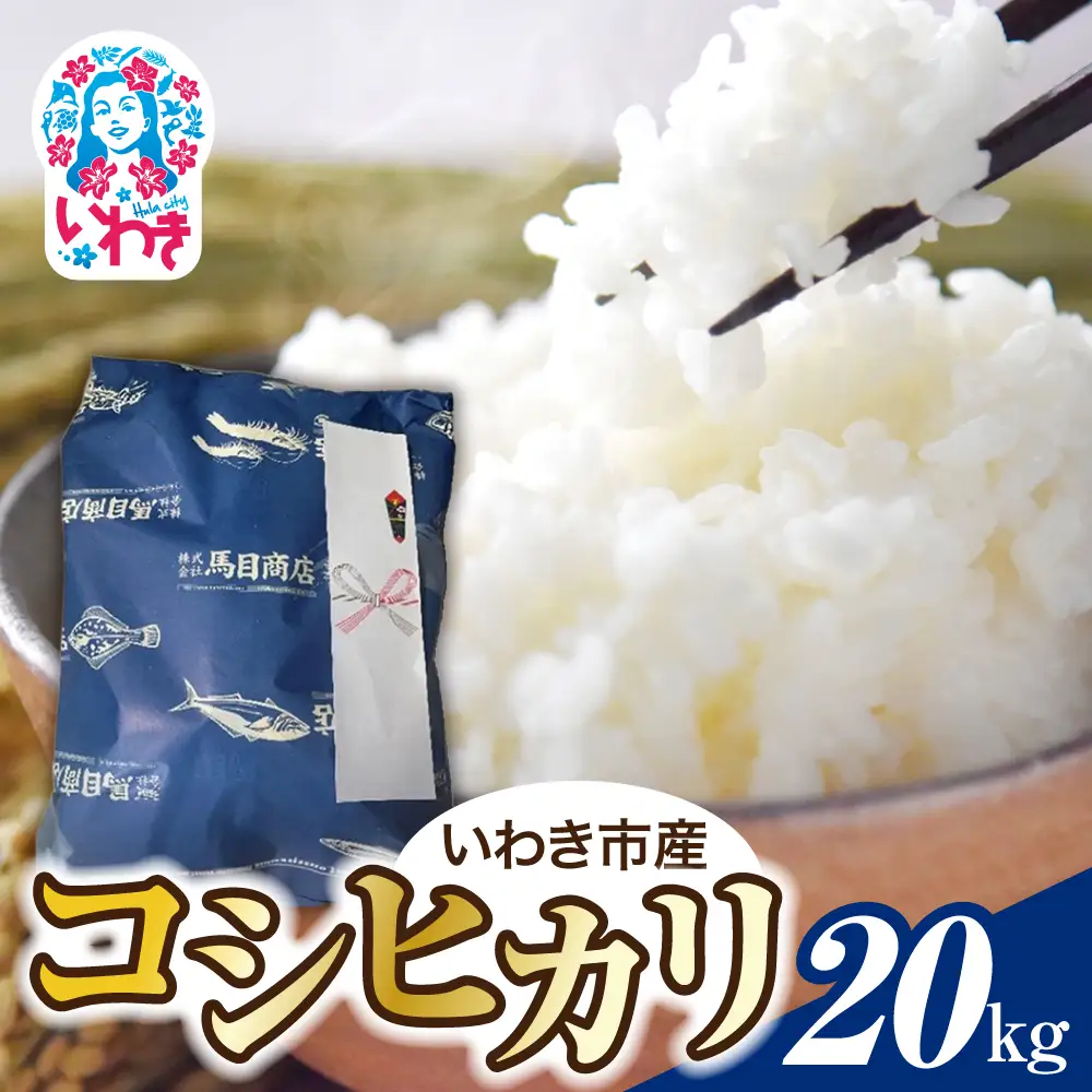 【令和8年産】コシヒカリ 20kg 順次発送 精米 20kg x 1袋 白米