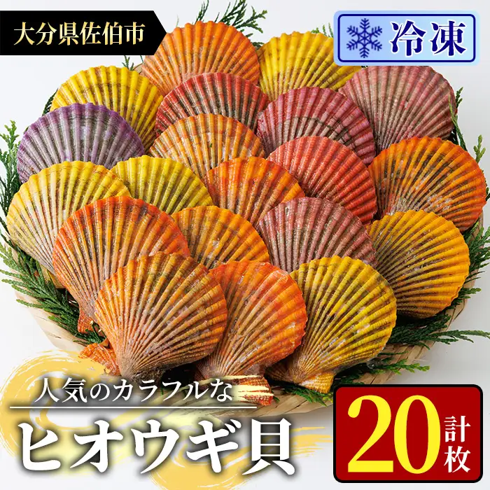 冷凍 ヒオウギ貝 (計20枚) 魚介 貝 ヒオウギ貝 ひおうぎ貝 酒蒸し 網焼き バター焼き バーベキュー 獲れたて 海の直売所 大分県 佐伯市【AS152】【海べ】