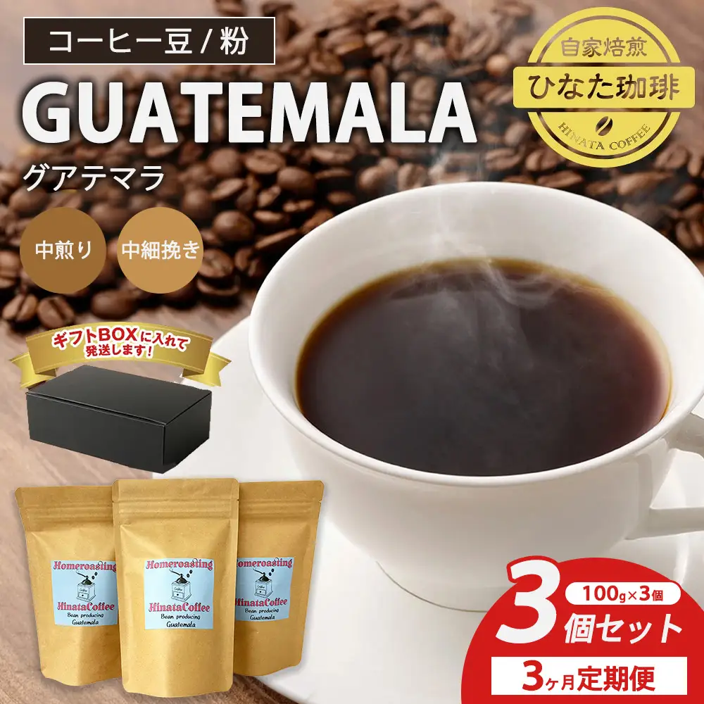 【3カ月定期便】コーヒー 豆 粉（グアテマラ 中煎り 中細挽き）100g × 3個セット | ミディアムロースト ギフトBOX付き コーヒー 珈琲 自家焙煎 ひなた珈琲 幸田町 送料無料