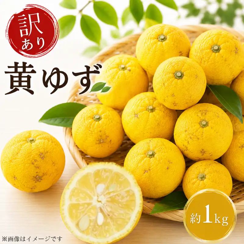 訳あり ゆず 1kg 【 柚子 】