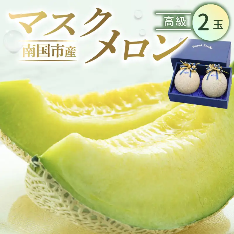 【西島園芸団地】マスクメロン（高級） 2玉入 青肉品種 高級メロン！ ／ マスクメロン 果物 フルーツ ギフト 農家直送 NE034