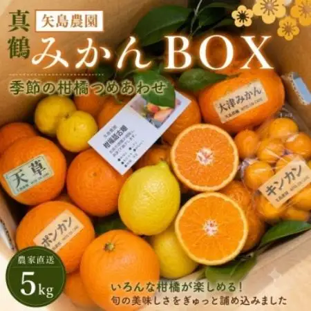 お正月特別便♪季節の柑橘詰合せ5kgいろんな種類が詰まった1箱【12月下旬発送】【先行受付】【1762628】