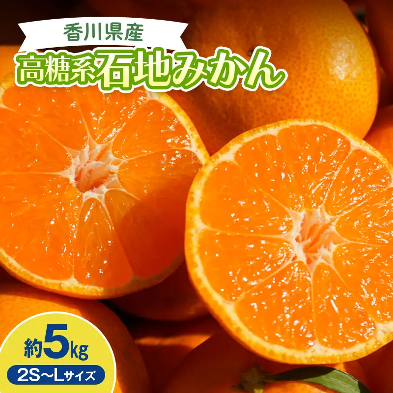 2026年冬よりお届け 高糖系石地みかん 約5kg 果物類 柑橘類 フルーツ ギフト ジュース 果肉 みかん果汁 甘い ５キロ    柑橘 みかん ミカン 蜜柑 デザート 果物 くだもの 果実 食品 FAH-0173