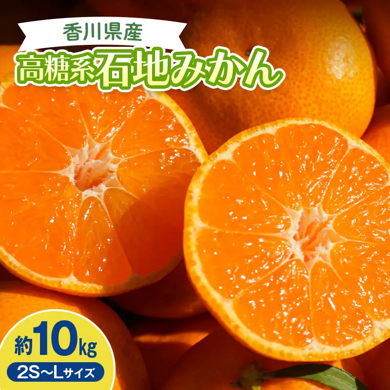 2026年冬よりお届け 高糖度系石地みかん 約10kg 果物類 柑橘類 フルーツ ギフト ジュース 果肉 みかん果汁 甘い 10キロ  柑橘 みかん ミカン 蜜柑 デザート 果物 くだもの 果実 食品 FAH-0174