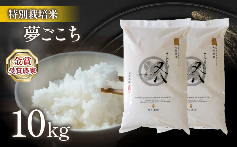 【 新米 】 令和8年米 夢ごこち 10kg ビニール包装