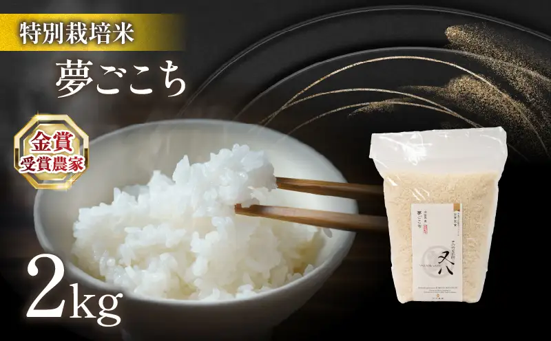 【 新米 】 令和8年米 夢ごこち 2kg ビニール包装