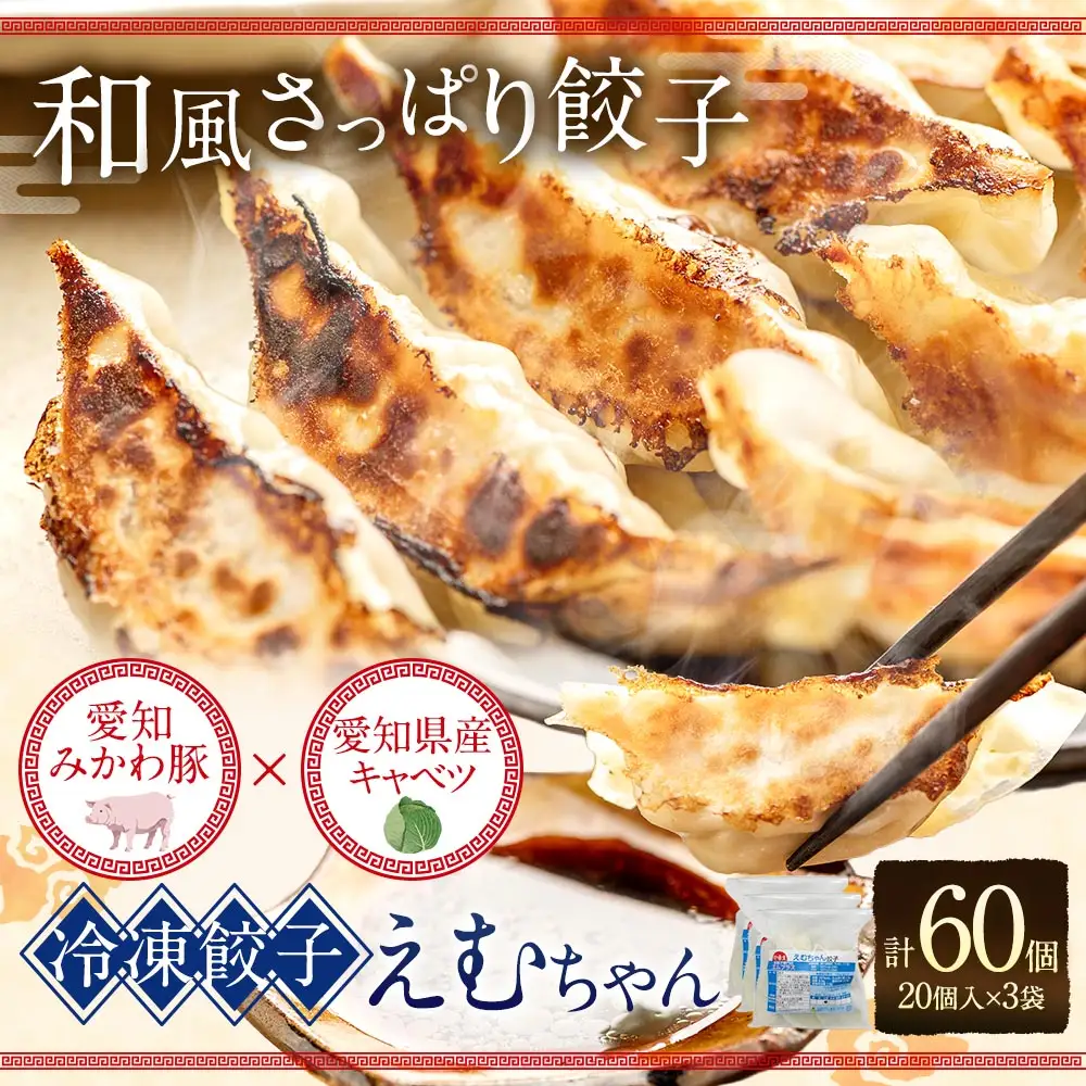 冷凍餃子 えむちゃん 3袋 （ 計60個 ）