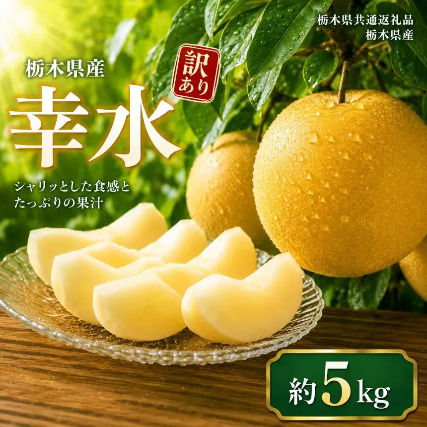 【2027年先行予約】訳ありサイズランダム 幸水 5kg | 栃木県共通返礼品 栃木県産 栃木県 那珂川町