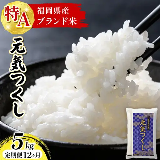 【定期便：12ケ月】令和８年産 福岡県産米 元気つくし 5kg 精米 CY022sub12