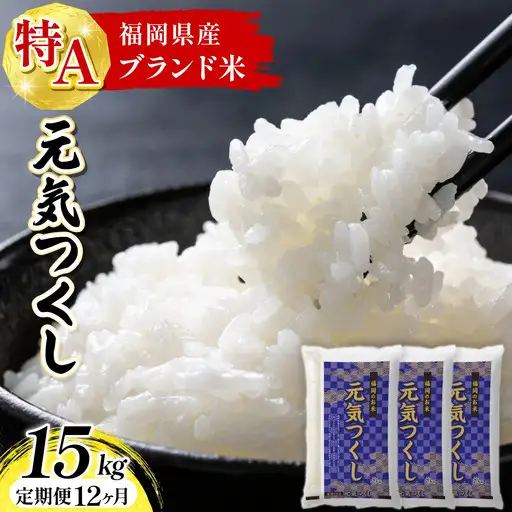 【定期便：12ケ月】令和８年産 福岡県産米 元気つくし 15kg 精米 CY024sub12