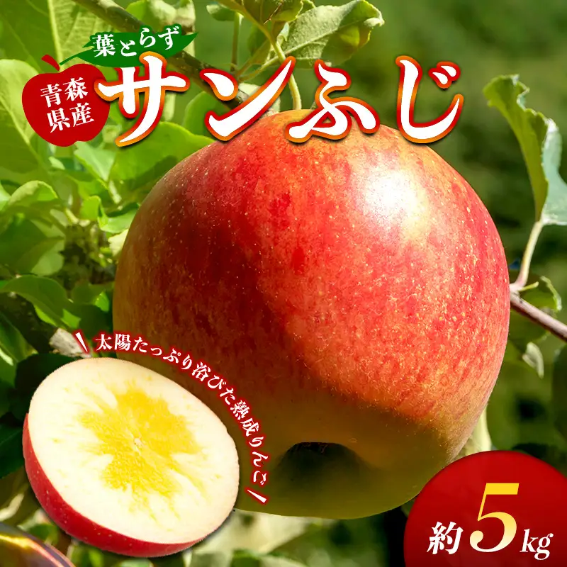 葉取らずサンふじ 約5kg 【ふじさき季の会】 F41-0121