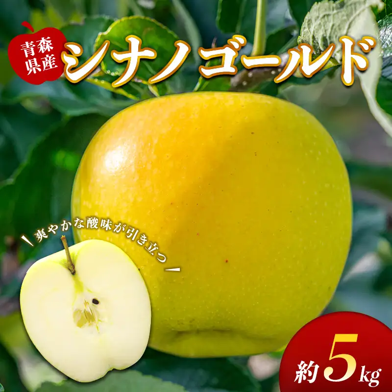 藤崎町産 りんご シナノゴールド 約5kg 【ふじさき季の会】 F41-0127