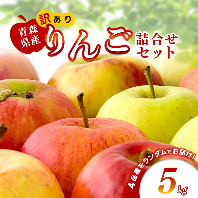 【特に訳あり】 藤崎町産 りんご 約5kg 【ふじさき季の会】 F41-0128